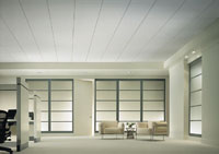 we specialize in cleaning ceilings and any overhead structure in your business!