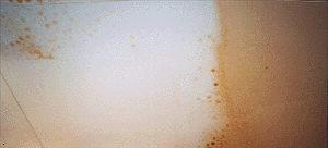 vinyl kitchen ceiling surface cleaning
